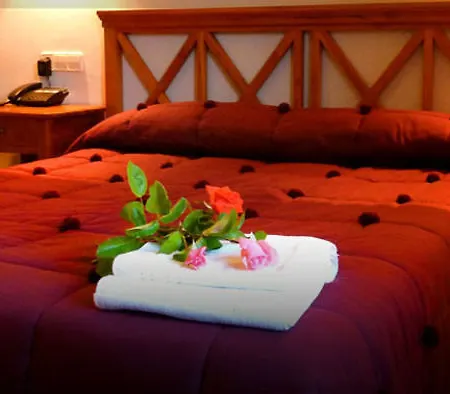 Rural Aldeaduero 4 Estrellas Hotel 4*